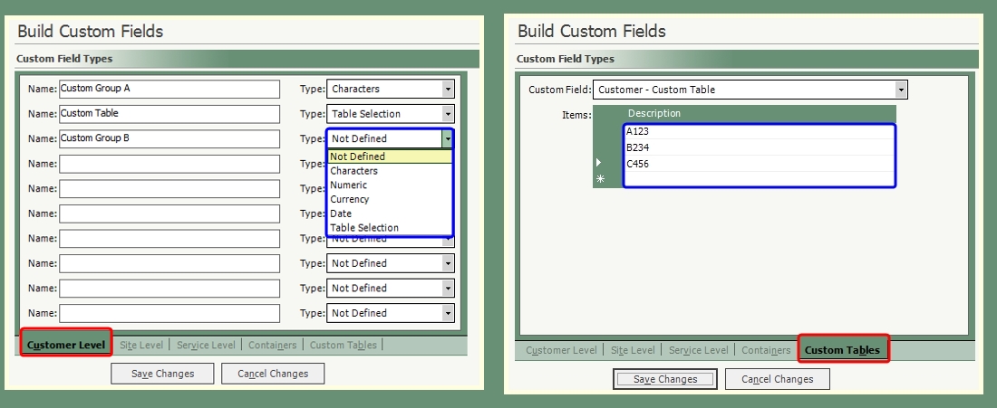 Customer Explorer: Customer Custom Fields