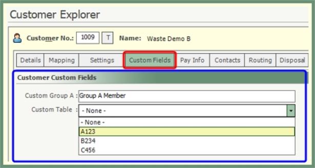 Customer Explorer: Customer Custom Fields