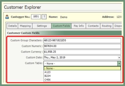 Customer Explorer: Customer Custom Fields